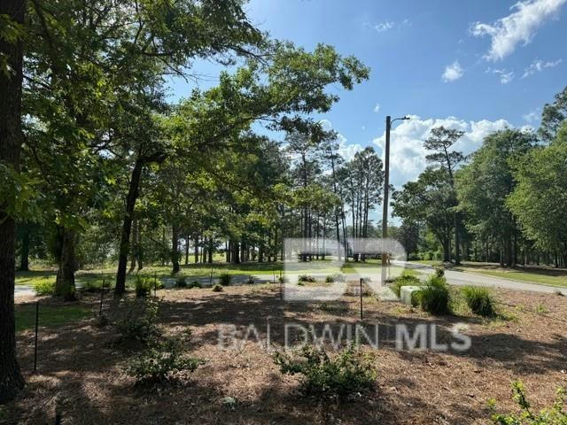 32877 RANGE LN, LOXLEY, AL 36551, photo 1 of 3