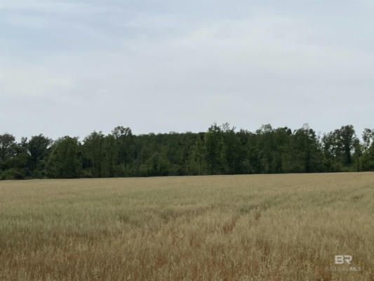 0 S COUNTY ROAD 34, SUMMERDALE, AL 36580, photo 4 of 8