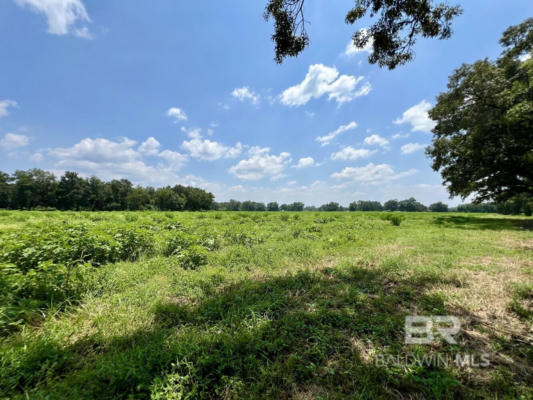 0 WILMER ROAD, WILMER, AL 36587 - Image 1