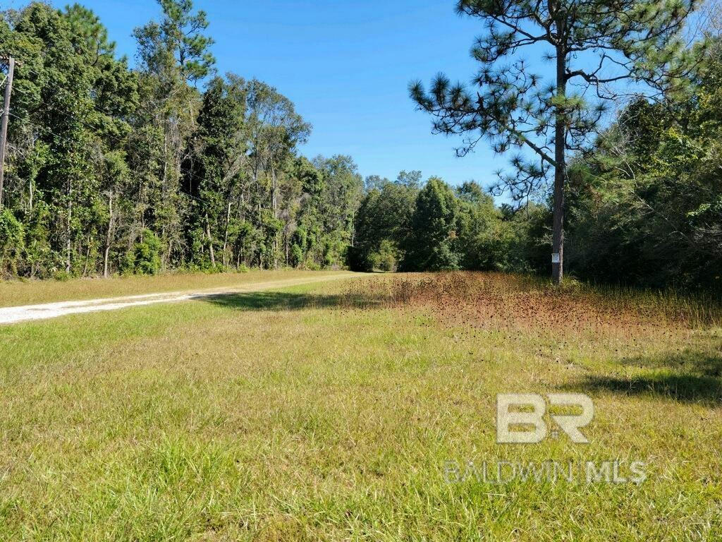 10475 PADGETT SWITCH RD, IRVINGTON, AL 36544, photo 1 of 10